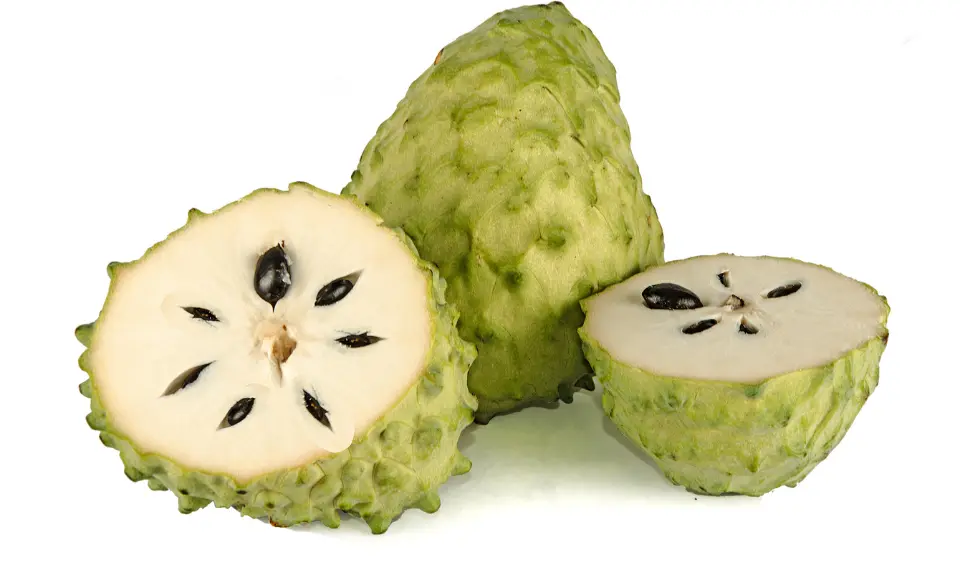 manfaat buah sirsak untuk kesehatan