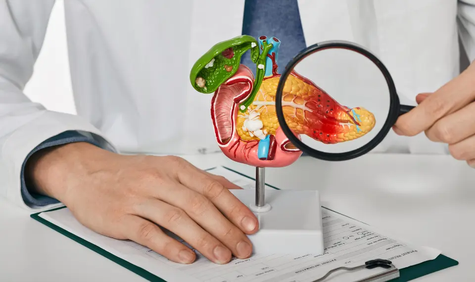 organ yang menghasilkan cairan empedu