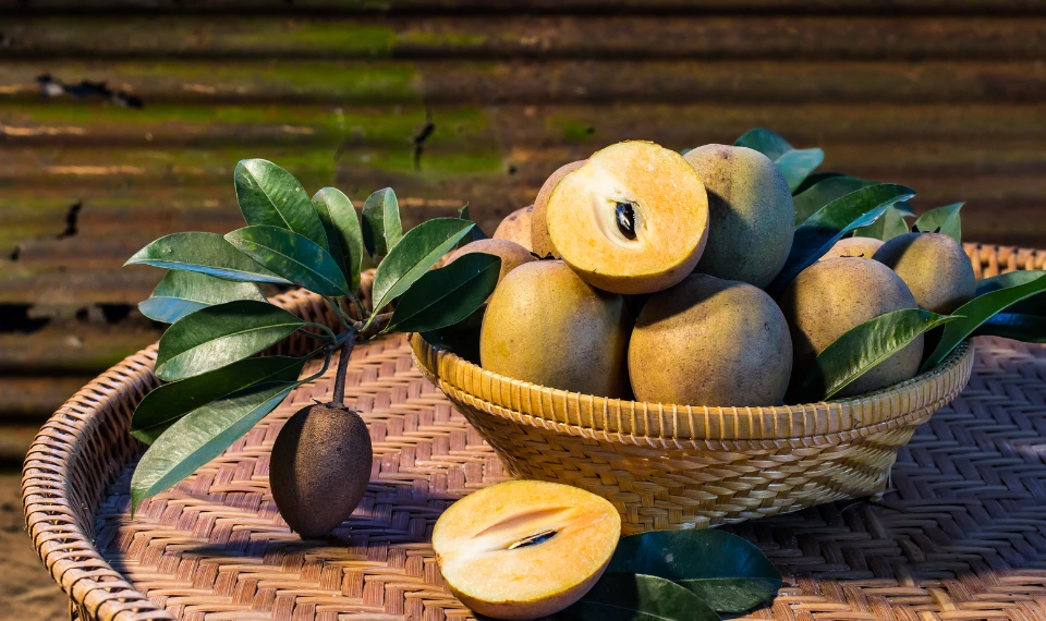 manfaat buah sawo untuk kesehatan